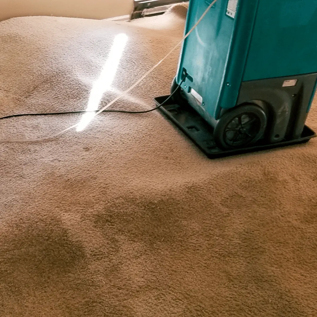 Upholstery Cleaning company